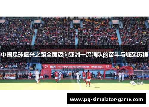 中国足球振兴之路全面迈向亚洲一流强队的奋斗与崛起历程